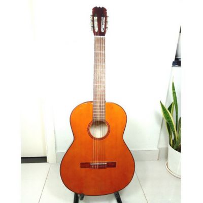 Đàn guitar classic Việt Nam